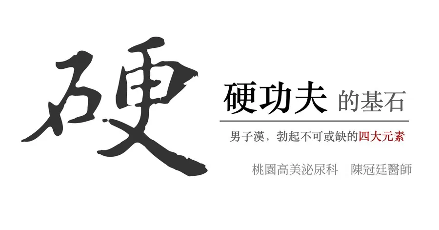 文章主視覺。左側是一個大大的毛筆書法「硬」字，右側標題為「硬功夫的基石 —— 男子漢，勃起不可或缺的四大元素」，下方署名「桃園高美泌尿科　陳冠廷醫師」。