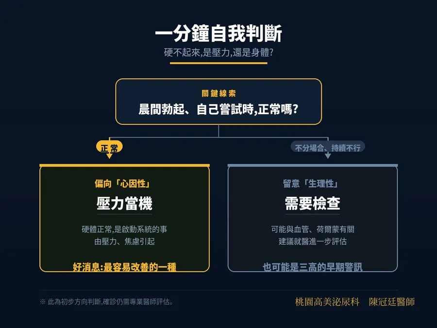 一分鐘自我判斷流程圖。關鍵線索是「晨間勃起、自己嘗試時正常嗎」，正常者偏向心因性、屬壓力當機，不分場合持續不行者要留意生理性、需要檢查
