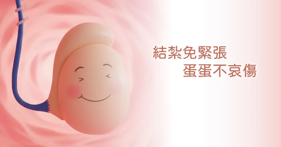 卡通風格插圖:一顆微笑的睪丸連著輸精管,旁邊寫著「結紮免緊張,蛋蛋不哀傷」